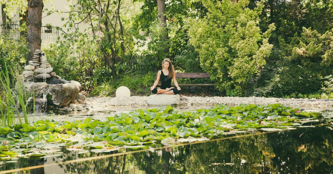 Vegan Hotel La Vimea (Adults Only) Naturns Exteriér fotografie